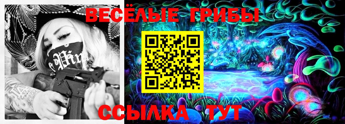 Волгодонск  Галлюциногенные грибы мицелий  Вход с VPN 